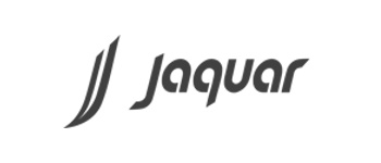 Logo Item